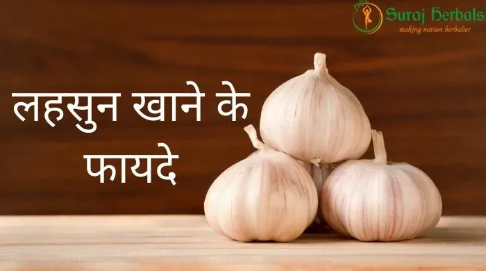 Benefits of Eating Garlic - लहसुन खाने के फायदे