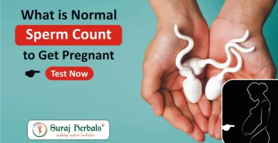 What is Normal Sperm Count to Get Pregnant – Test Now?